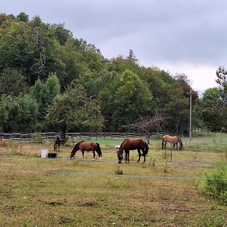 Alloggio Gravere * Gravere