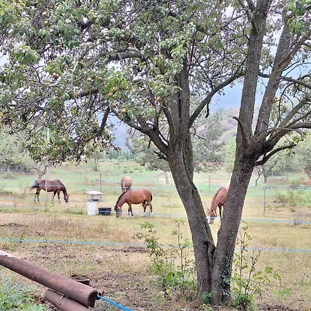 Apartamento Alloggio Gravere *